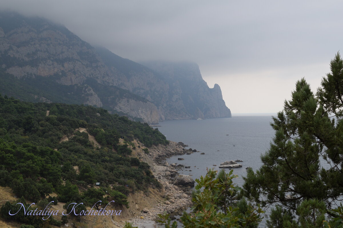 Природа Крыма - Amazing Cosmea