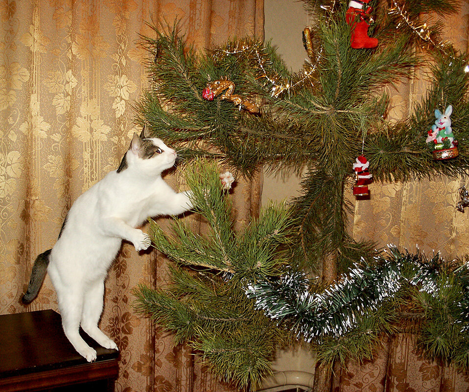 "Неправильно украшаешь, неправильно !" (Триптих, часть3) - MILAV V