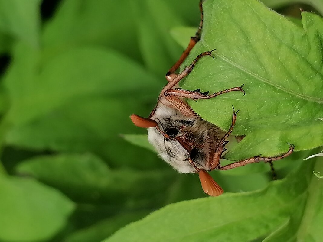 *** - Зоя Мишина *** - Зоя Мишина