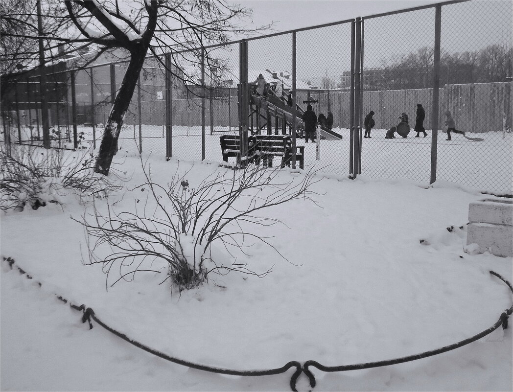 своя горка - sv.kaschuk 