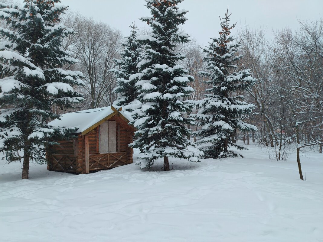 Избушка - Надежда Избушка - Надежда