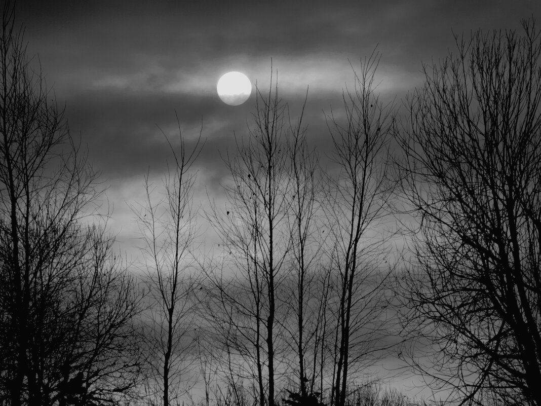 Солнечное затмение - Мария Яковлева