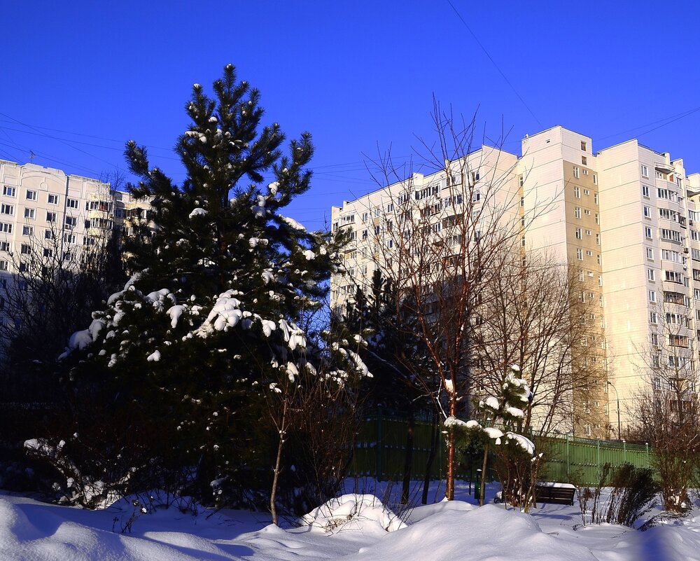 День прекрасен! - Василий Палий