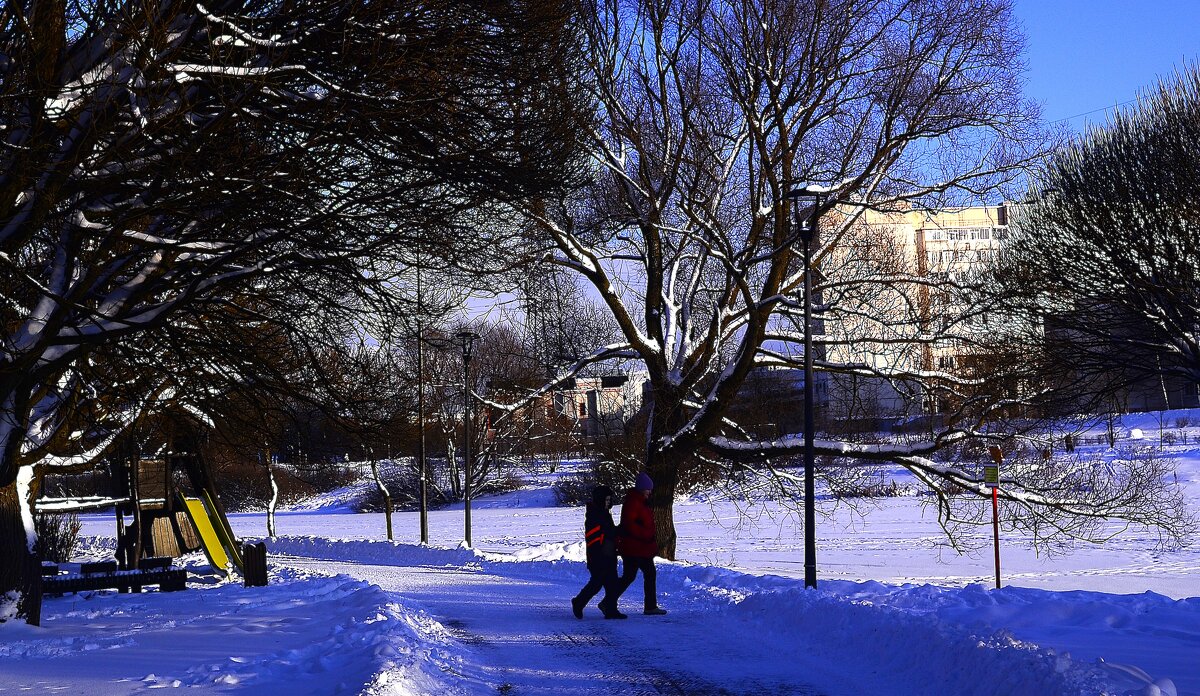 Зимняя прогулка. - Василий Палий