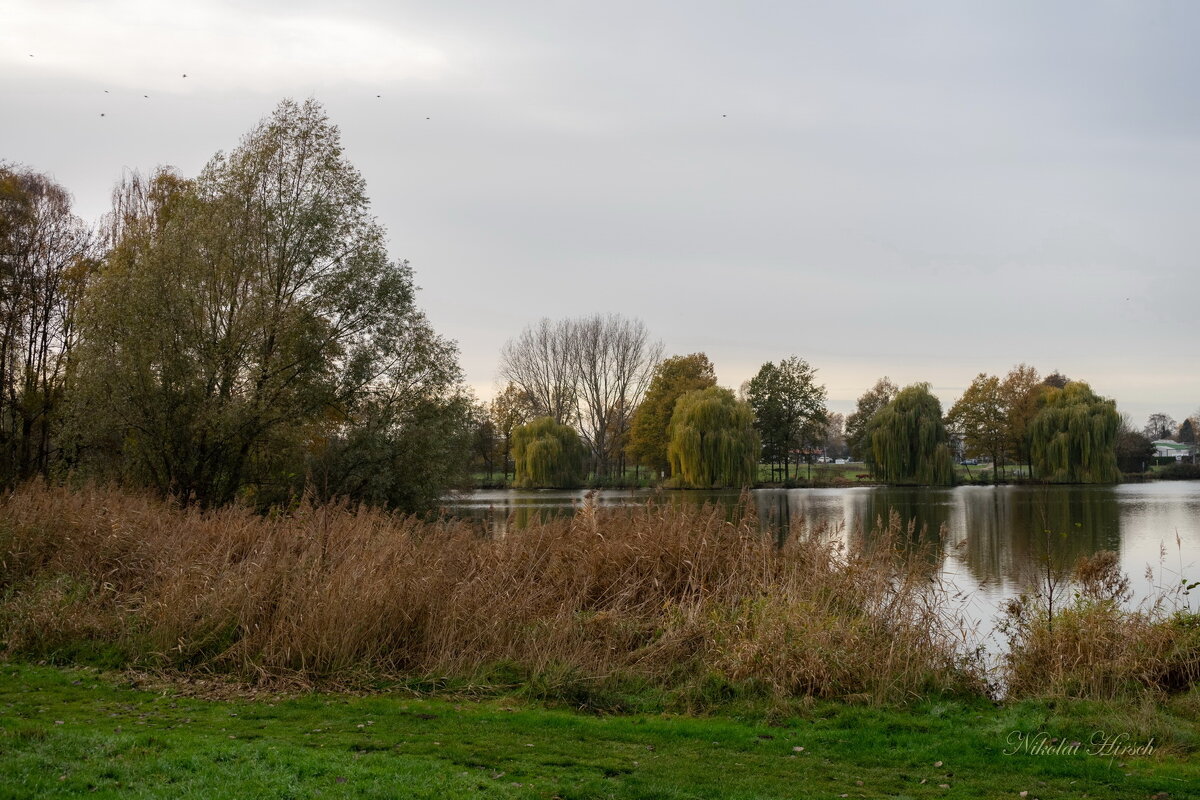 *** - Николай Гирш