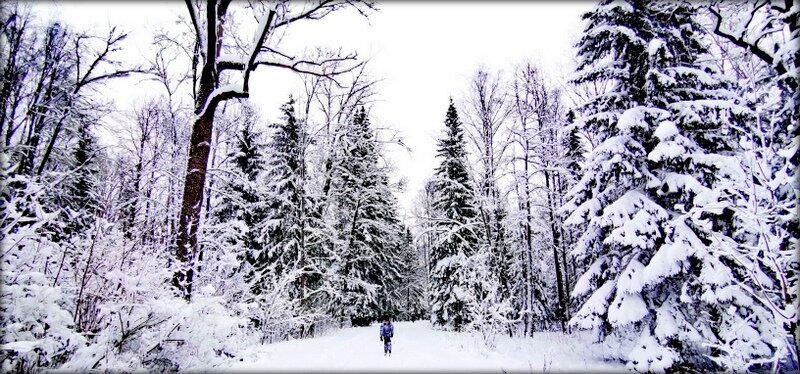 Начало 2026 года - много снега ... - Сергей Начало 2026 года - много снега ... - Сергей
