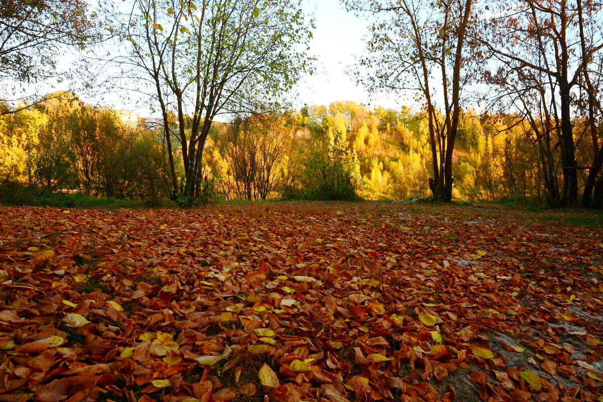 Листья ушедшей осени. - Михаил Колосов 