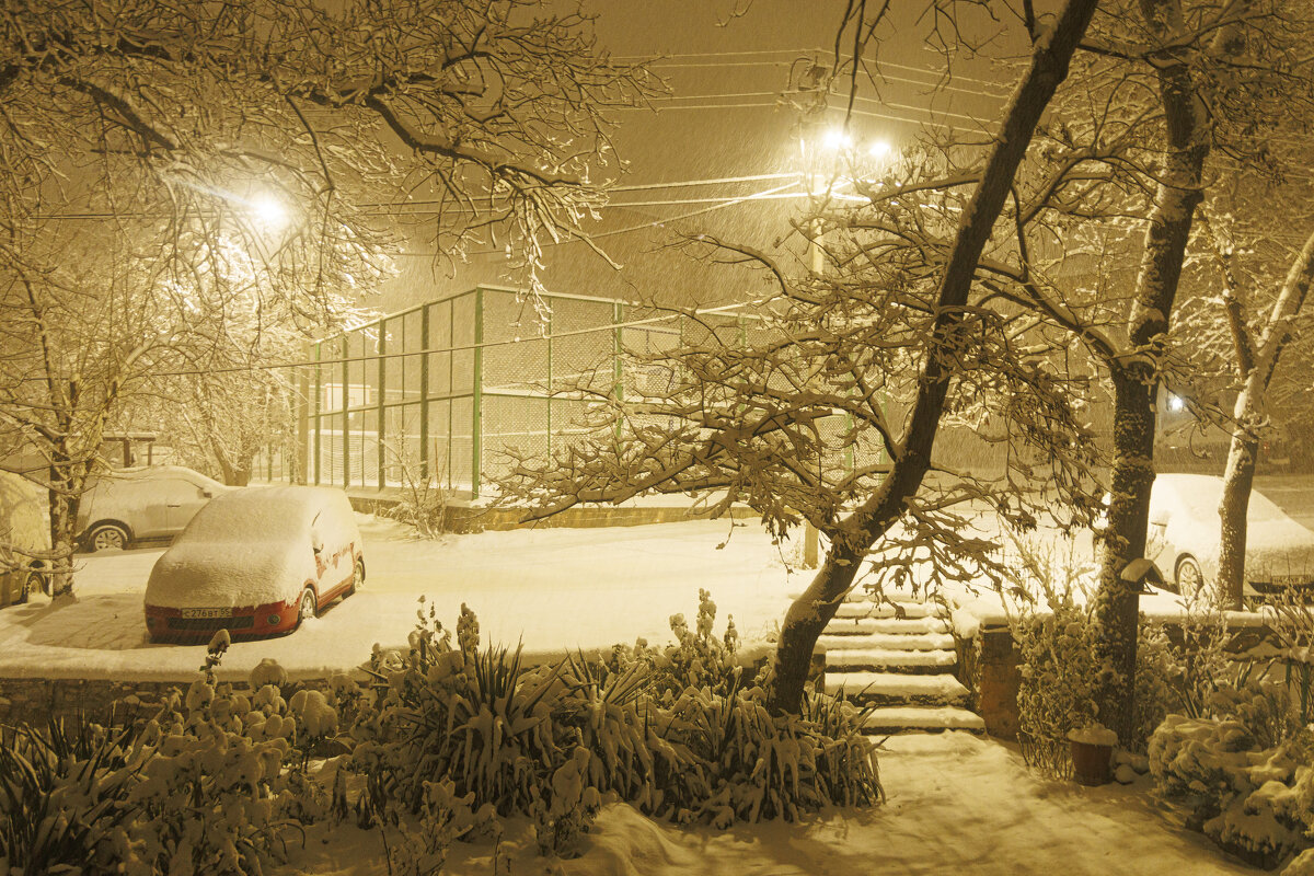 Один день зимы - Светлана Тихонина