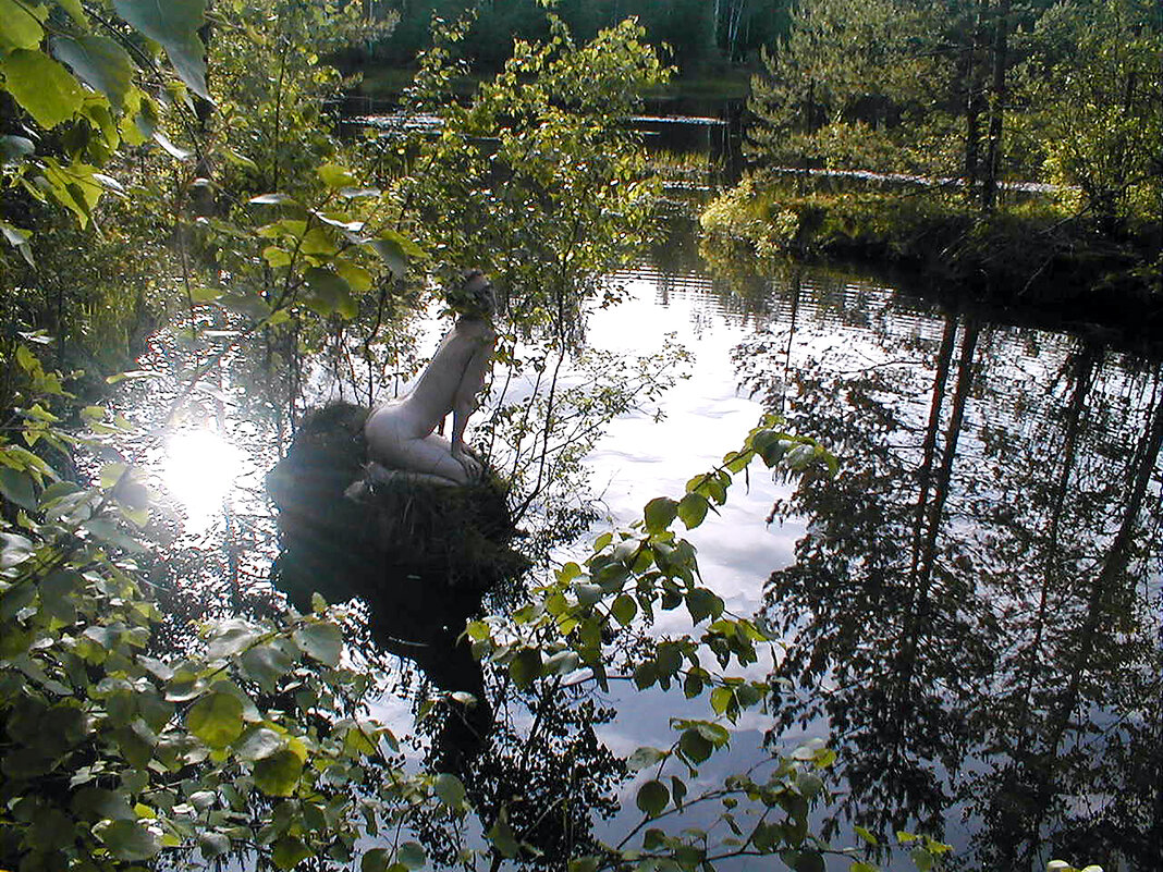 Нимфа озера - Сергей Зотов 