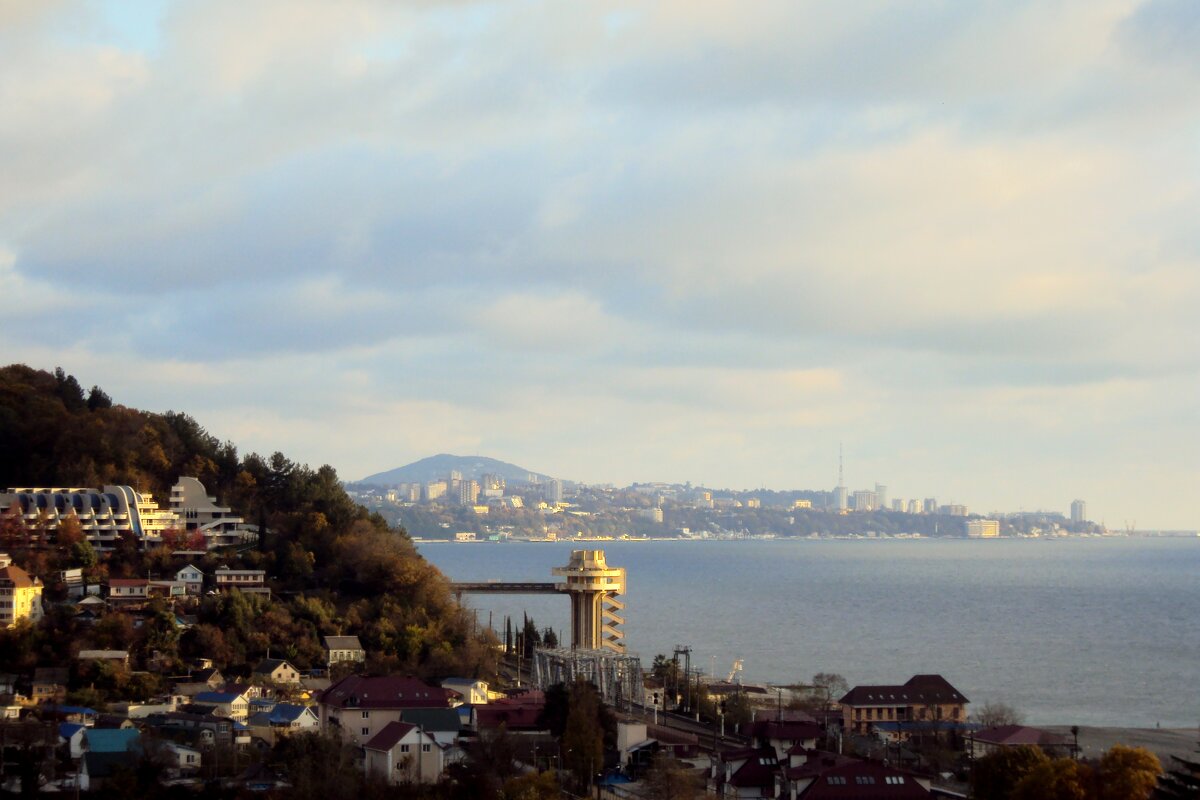 ДАГОМЫС - Tata Wolf