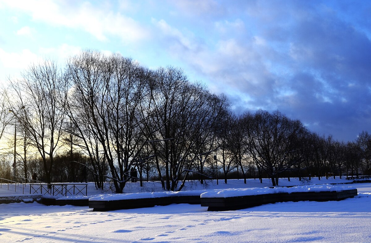Начало января. - Василий Палий