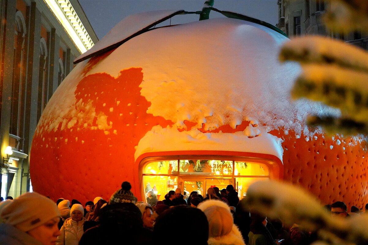 Апельсиновый павильон - Татьяна Тюменка