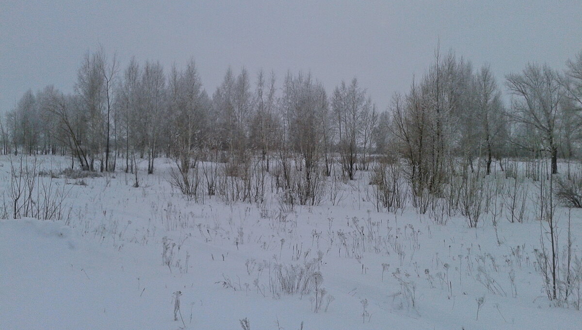 Пасмурный день. - сергей ермошкин Пасмурный день. - сергей ермошкин