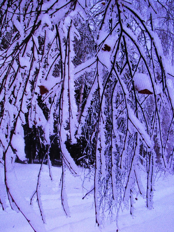 После снегопада - Людмила Смородинская