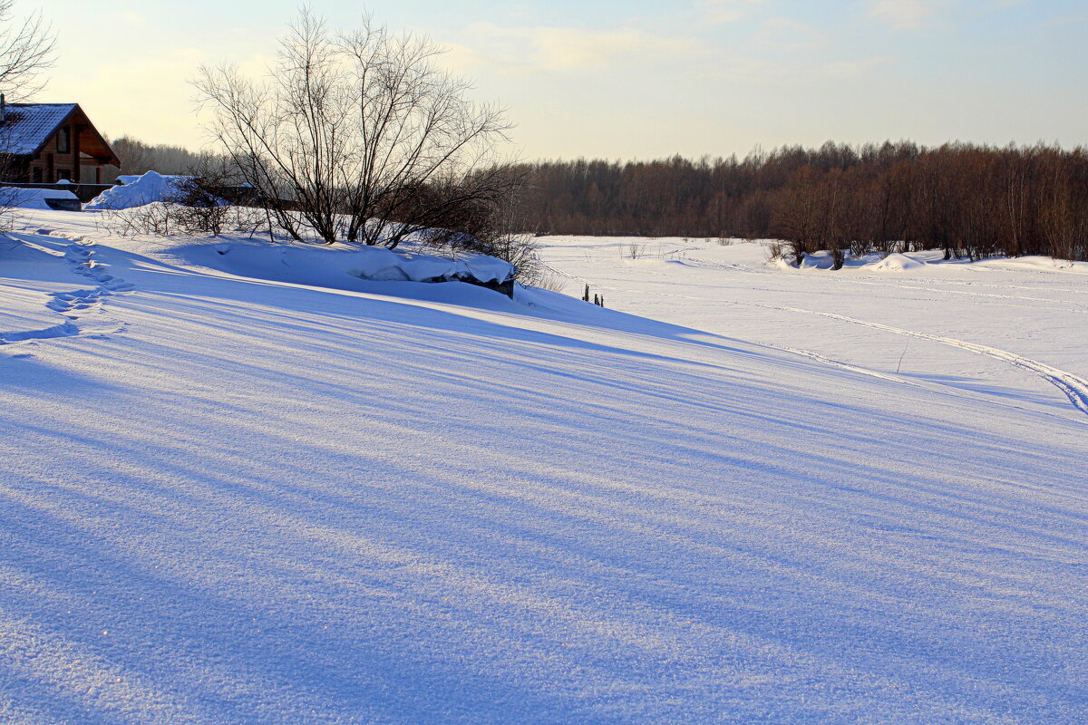Зимний берег - Татьяна Лютаева