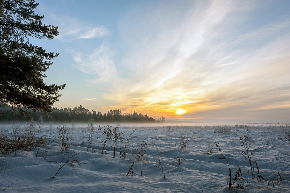Январское утро - Валерий Иванович