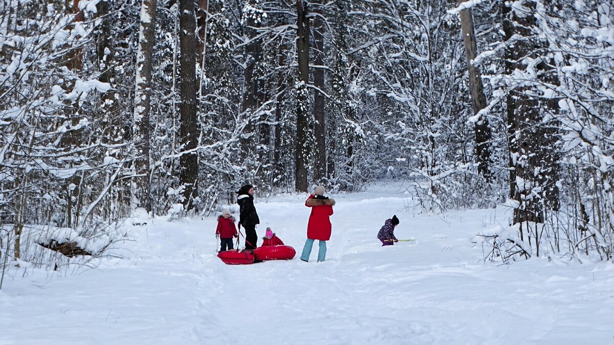 Дети любят снежную зиму. - Милешкин Владимир Алексеевич 