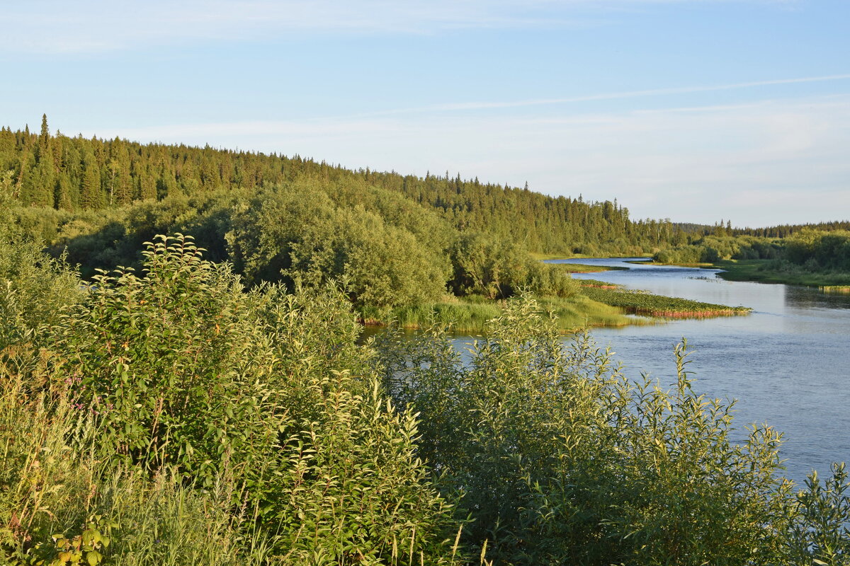 Реки изгибы. - ВикТор Быстров