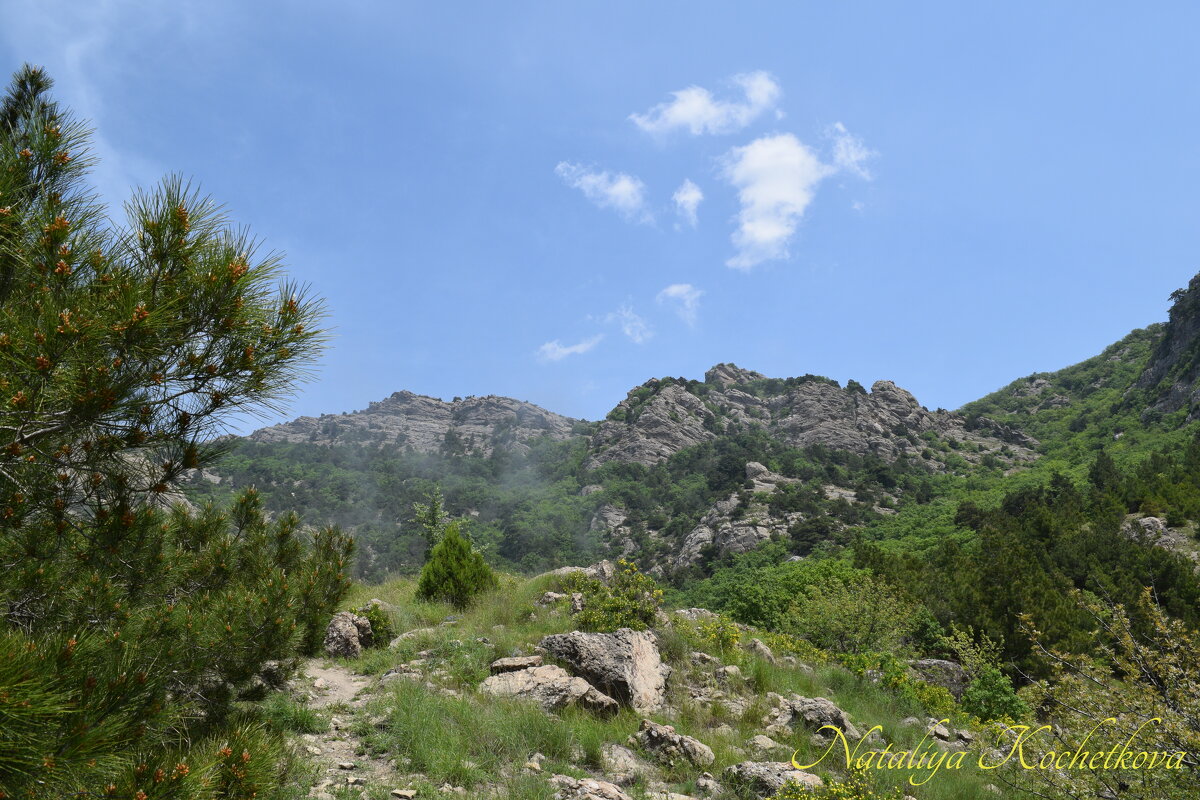 Природа Крыма - Amazing Cosmea