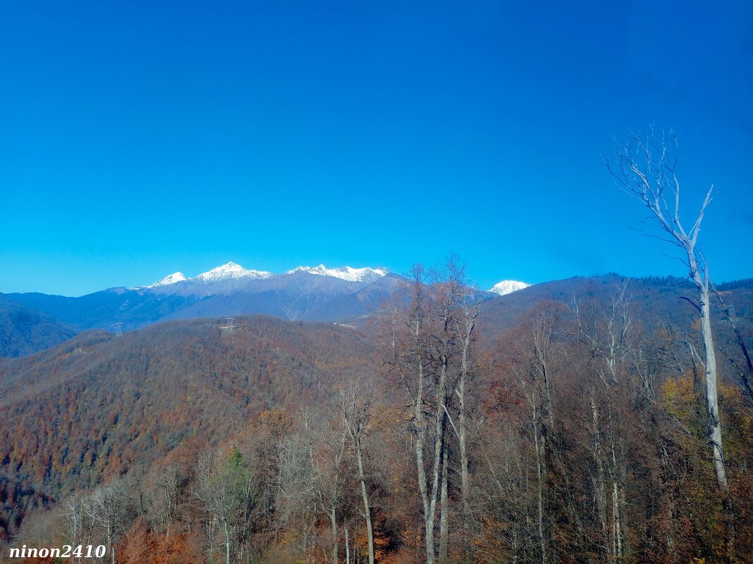 Адлер... горы... Роза Хутор... - Нина Бутко Адлер... горы... Роза Хутор... - Нина Бутко