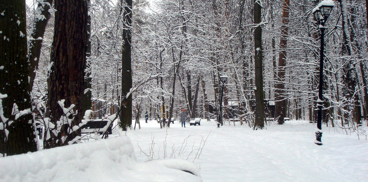 "Врата" заснеженного парка ) - Галина 