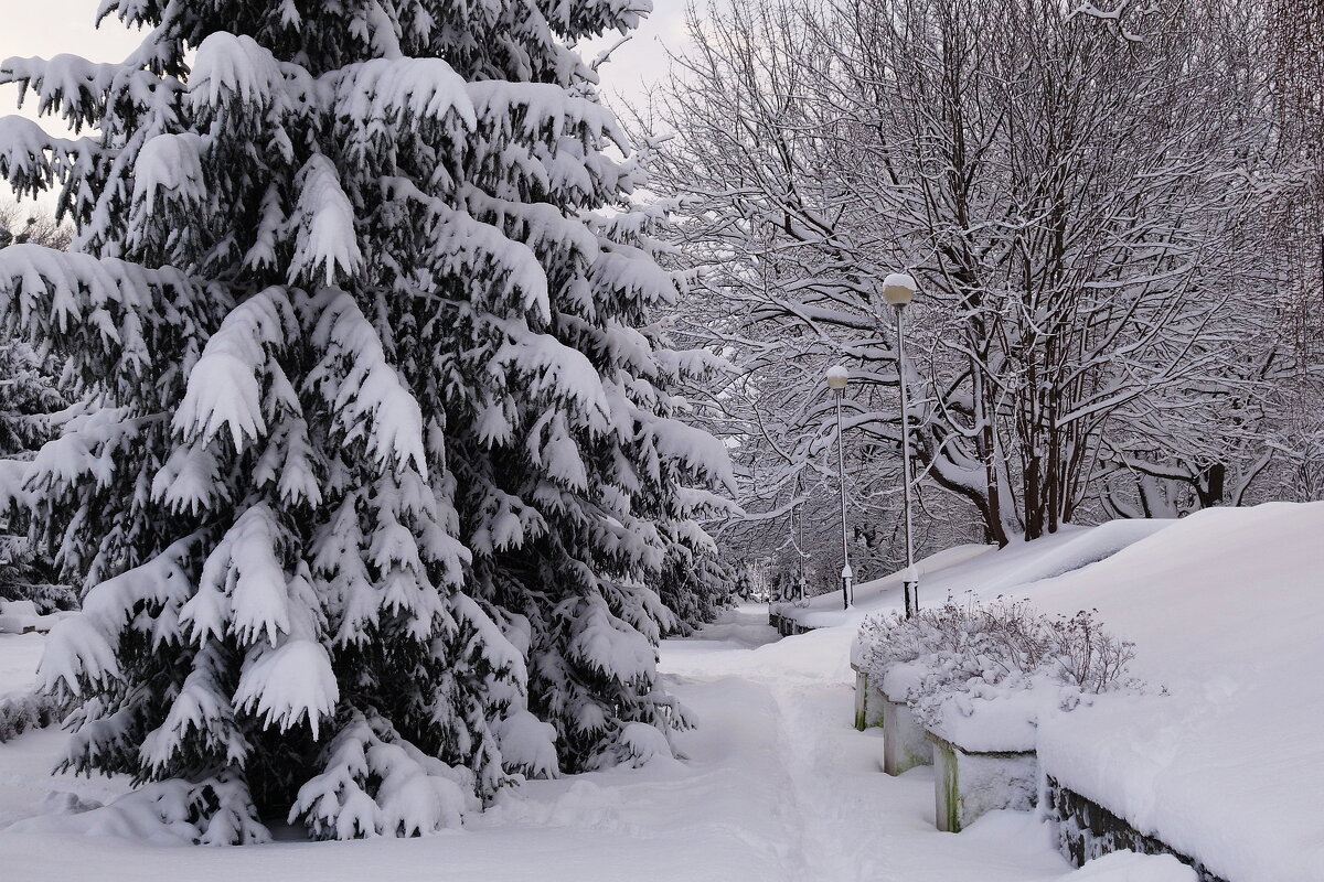 Парк Южный, Калининград - Рита Симонова