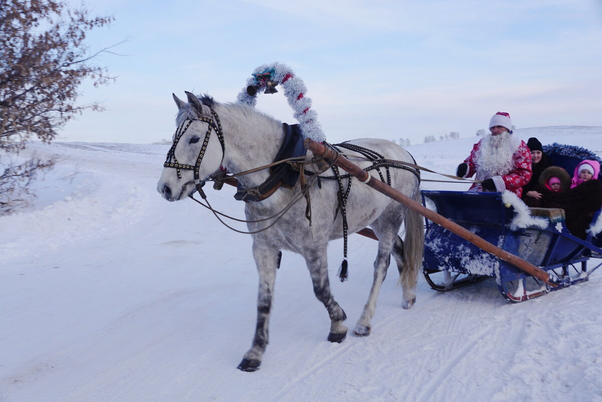 Катание с Дедом Морозом - Наталия Григорьева Катание с Дедом Морозом - Наталия Григорьева