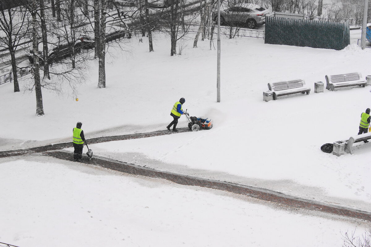 ПЕРВОПРОХОДЦЫ - Виктор Никитенко