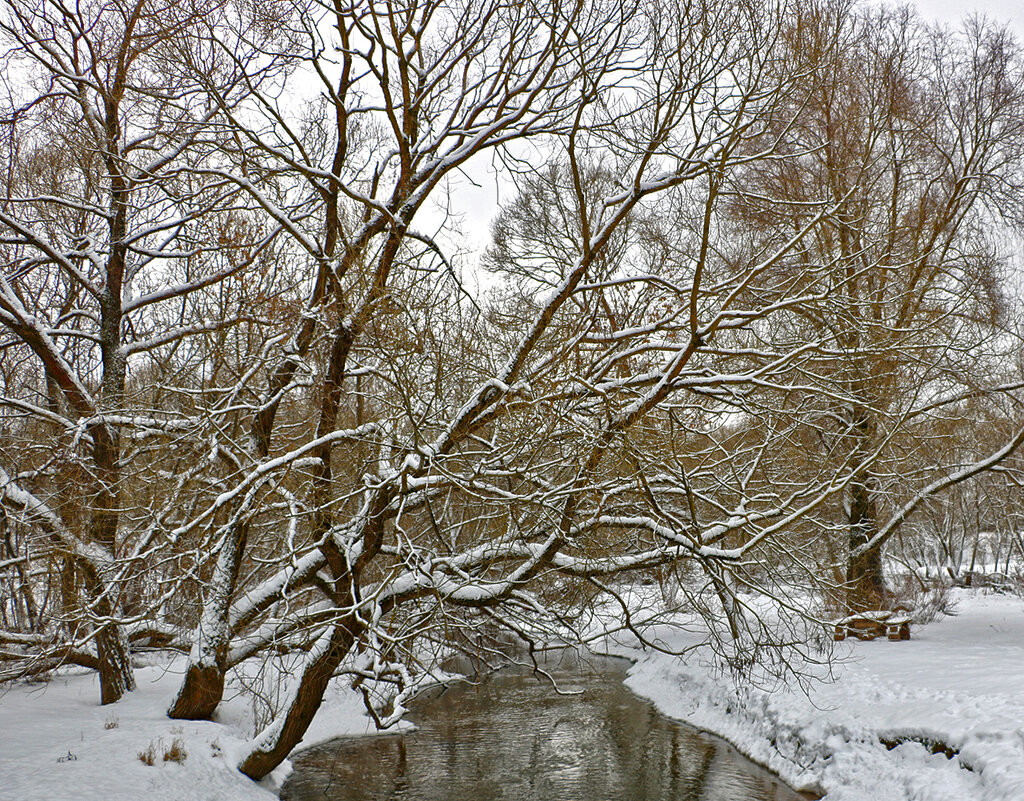Всё придёт зима пряжу снежную, пряжу тонкую, пряжу нежную... - Светлана 