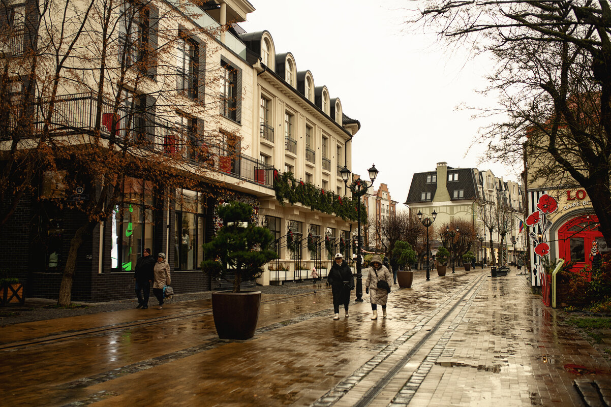 Городские виды - Лилия .