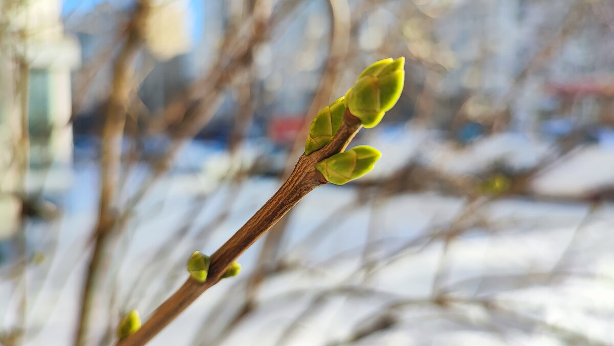 ,,, - Сергей Тимоновский ,,, - Сергей Тимоновский