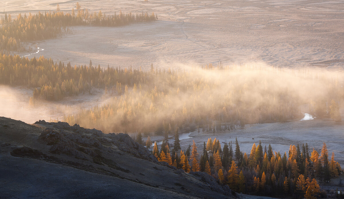 Курай - Sergey38 