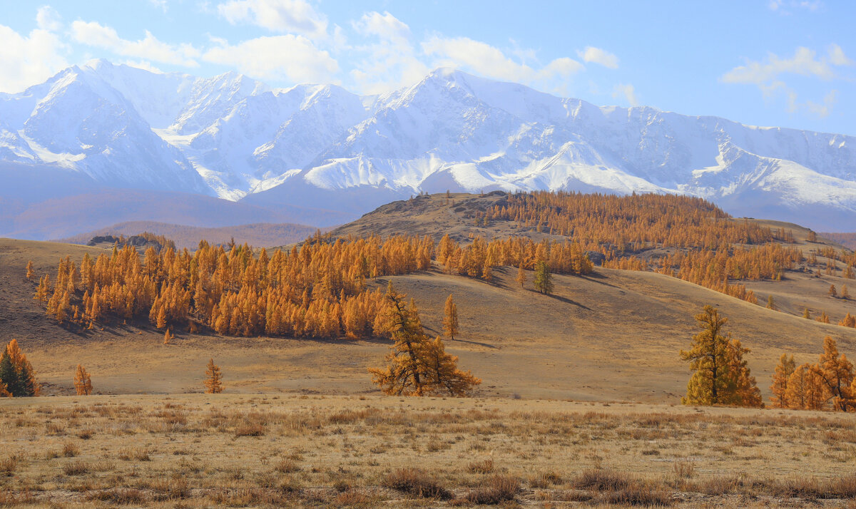 Осенние ландшафты - елена беликова Осенние ландшафты - елена беликова