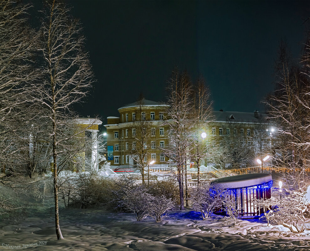 В новогоднем парке. Ухта. - Николай Зиновьев