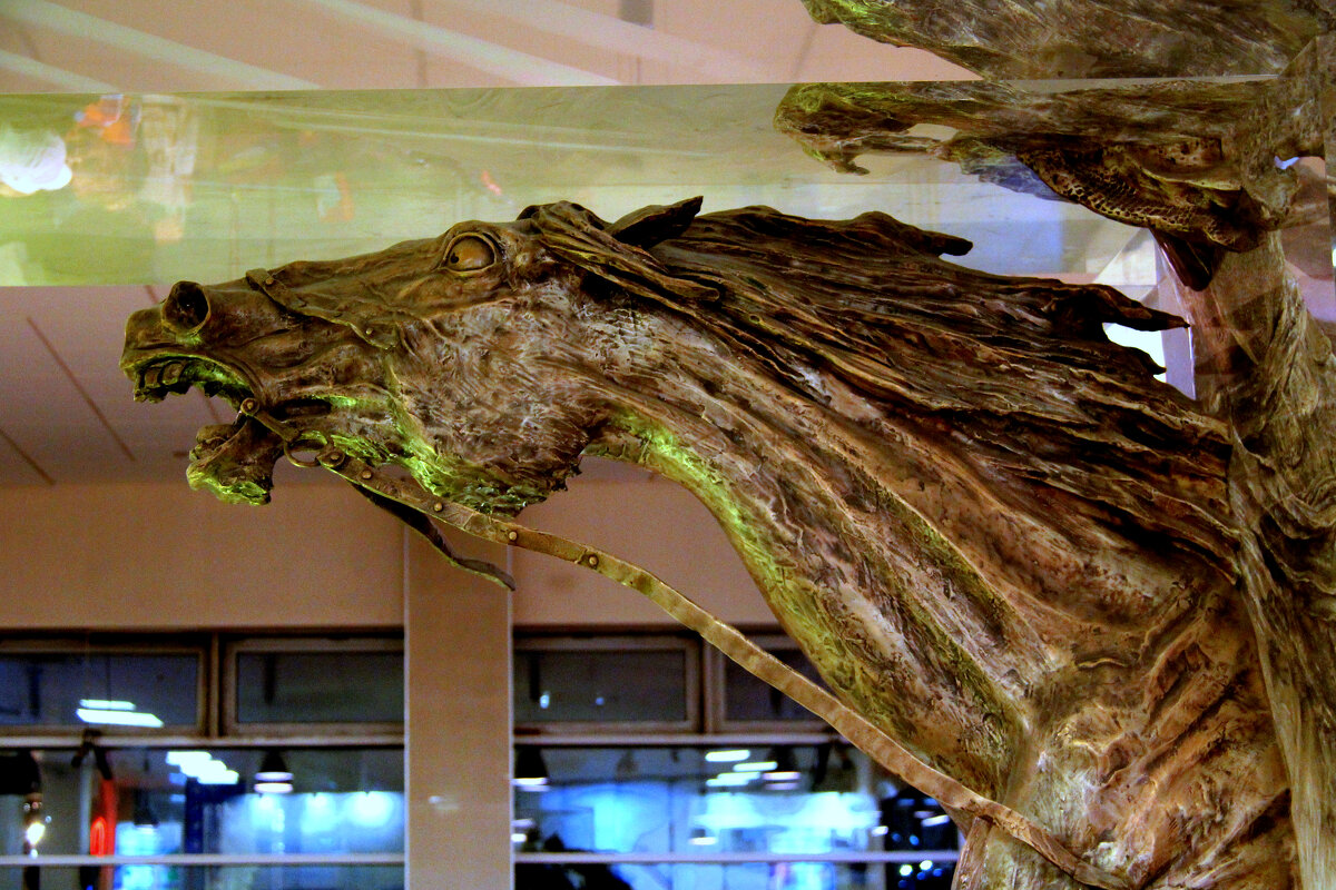 ** - Vlad Сергиевич