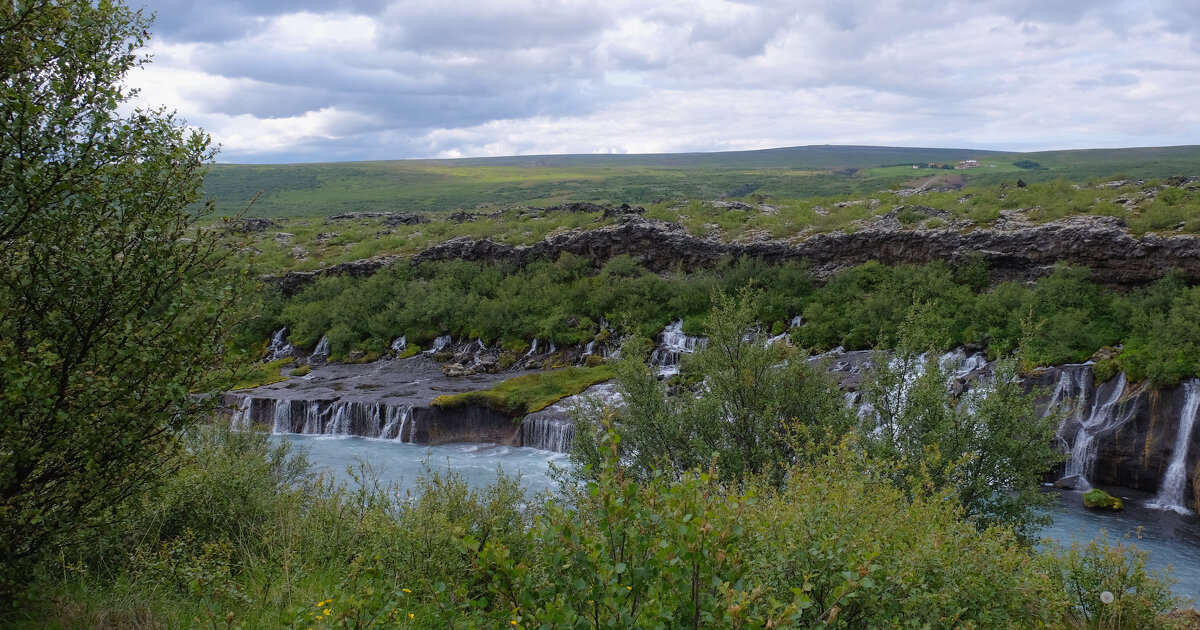 ** - Александр Липовецкий