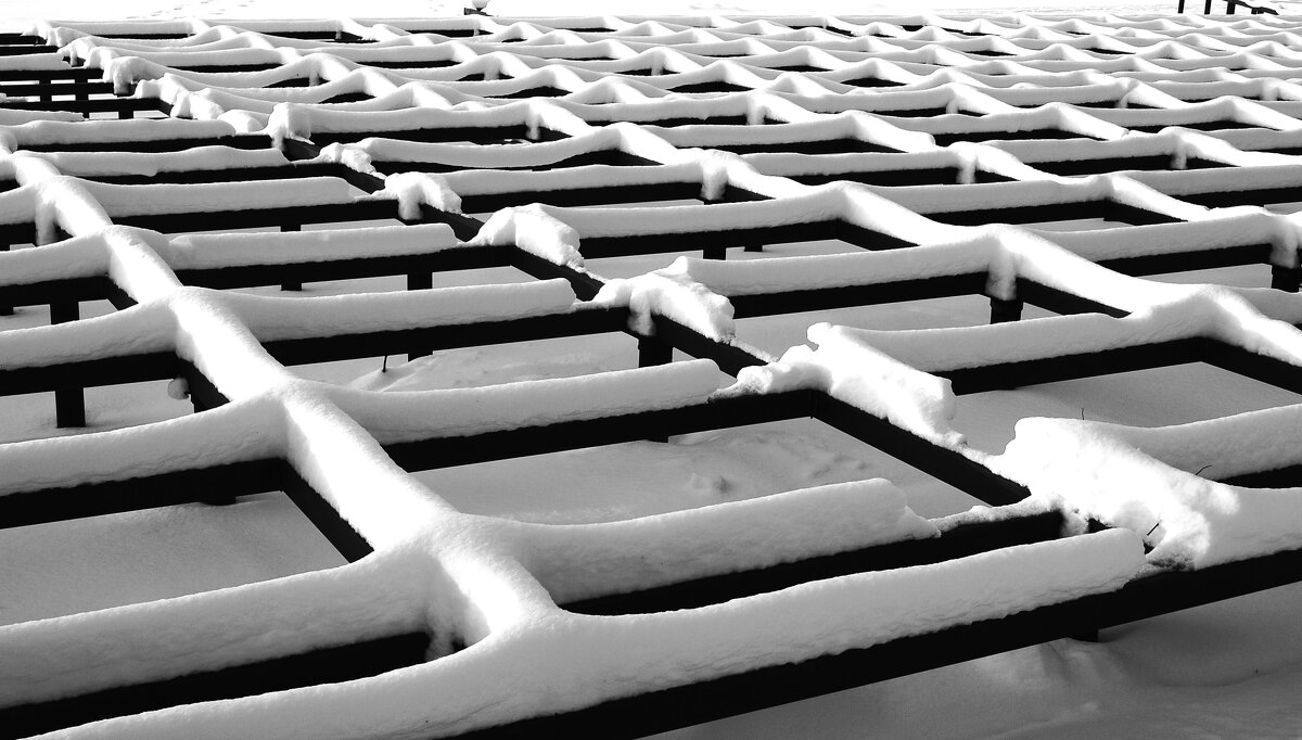 #-#-# - Василий Палий