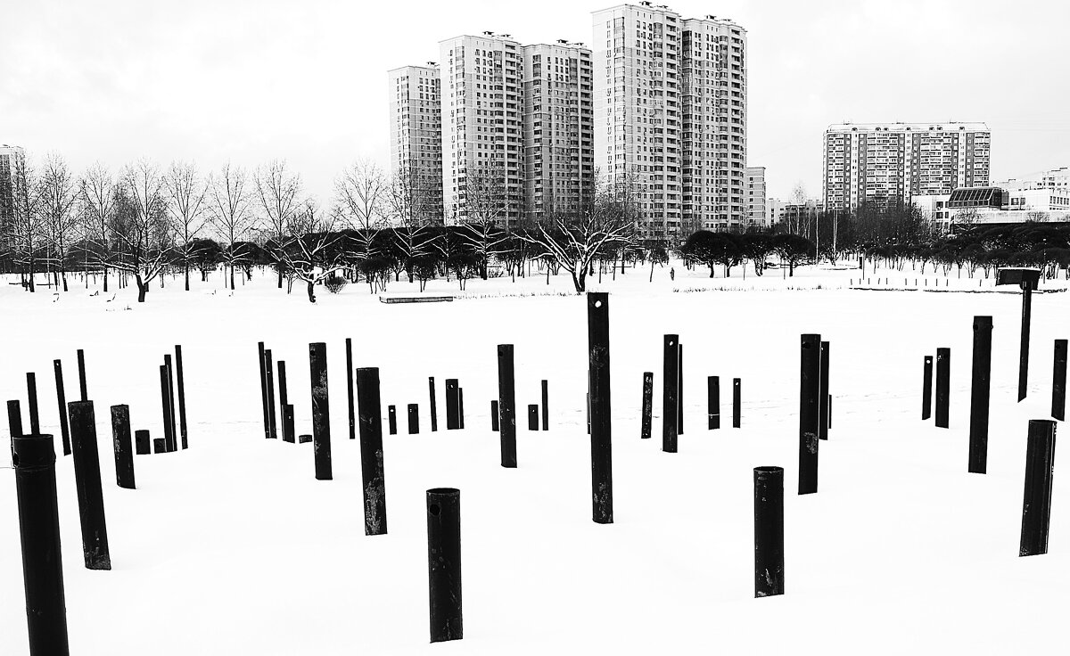 Вертикали. - Василий Палий