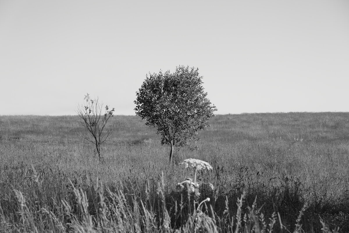 Фотография - Денис Безногов