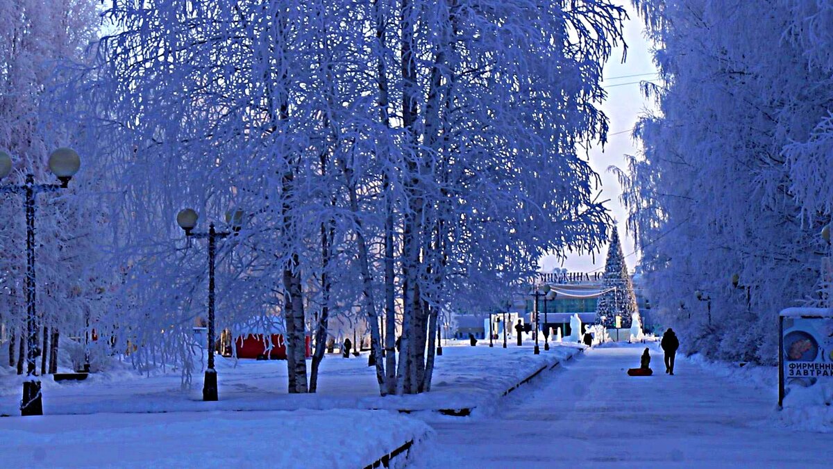 Утро января...Комсомольский бульвар в инее! - Владимир 