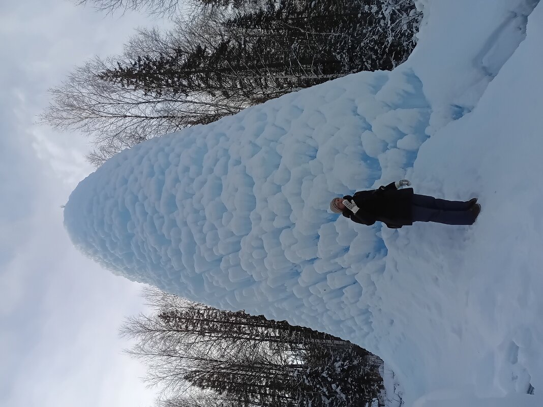 С Новым 2026 Годом! - Галина Ильясова