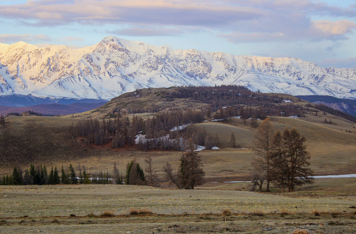 Утро в горах - елена беликова
