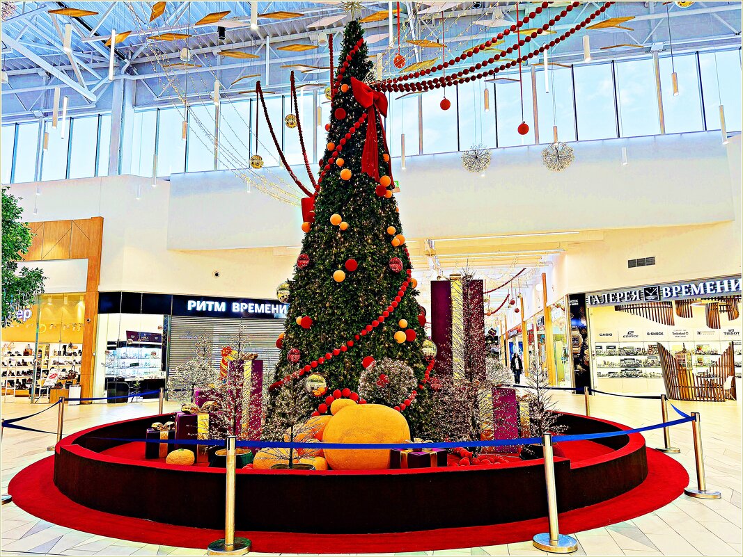 Ёлочки ТЦ. - Валерия Комова Ёлочки ТЦ. - Валерия Комова