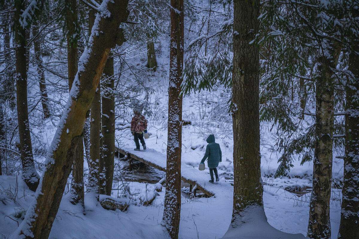 По мосточку через ручей - Сергей Цветков