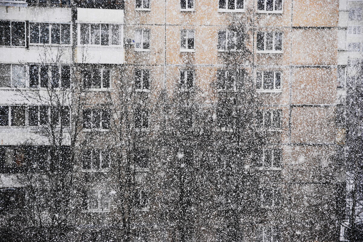 /// - Виктор Никитенко