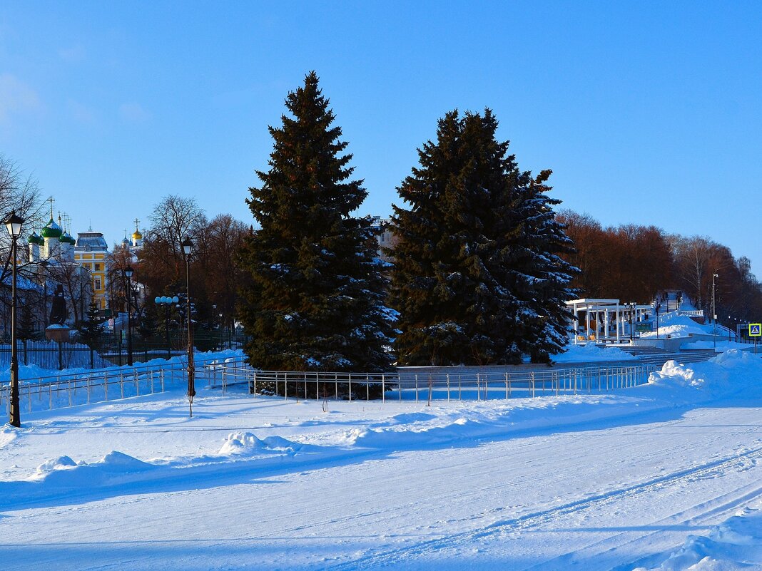 Чебоксары. Ели Московской набережной зимой. - Пётр Чернега