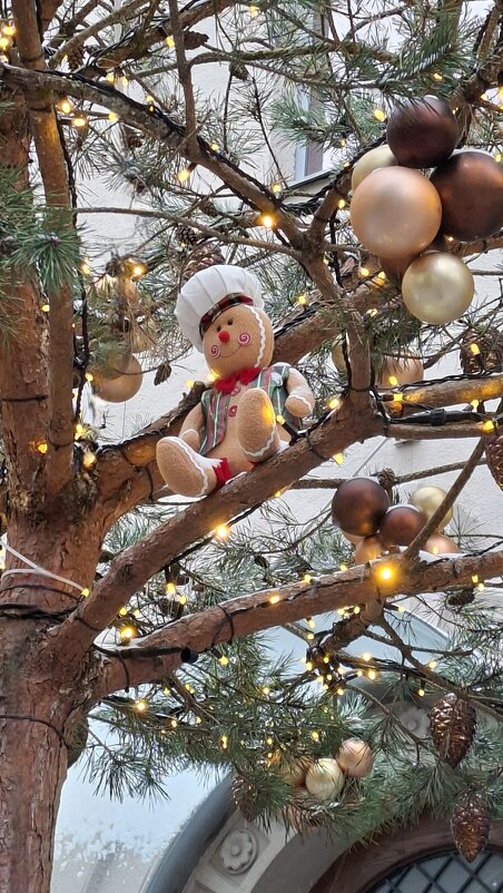 Новогодние находки - ИРЭН@ .