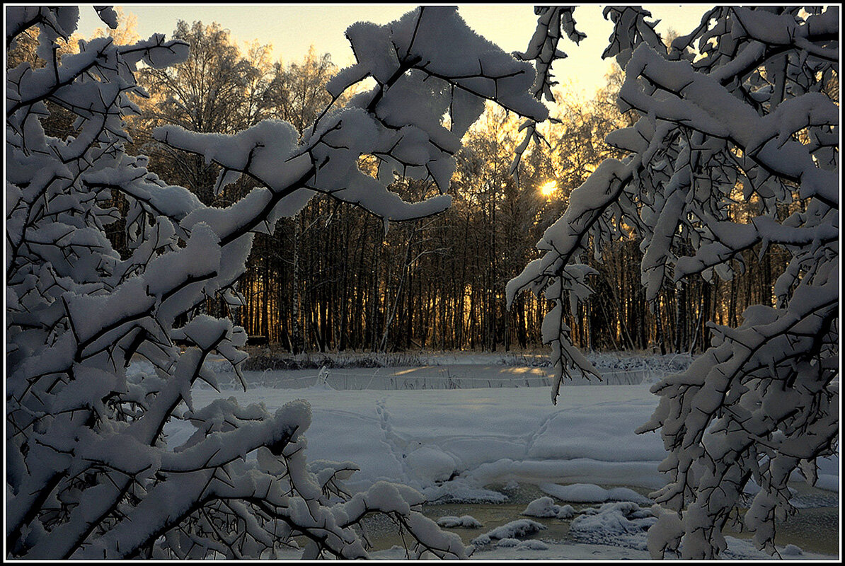 мороз и солнце.... - Aleksandr Gal