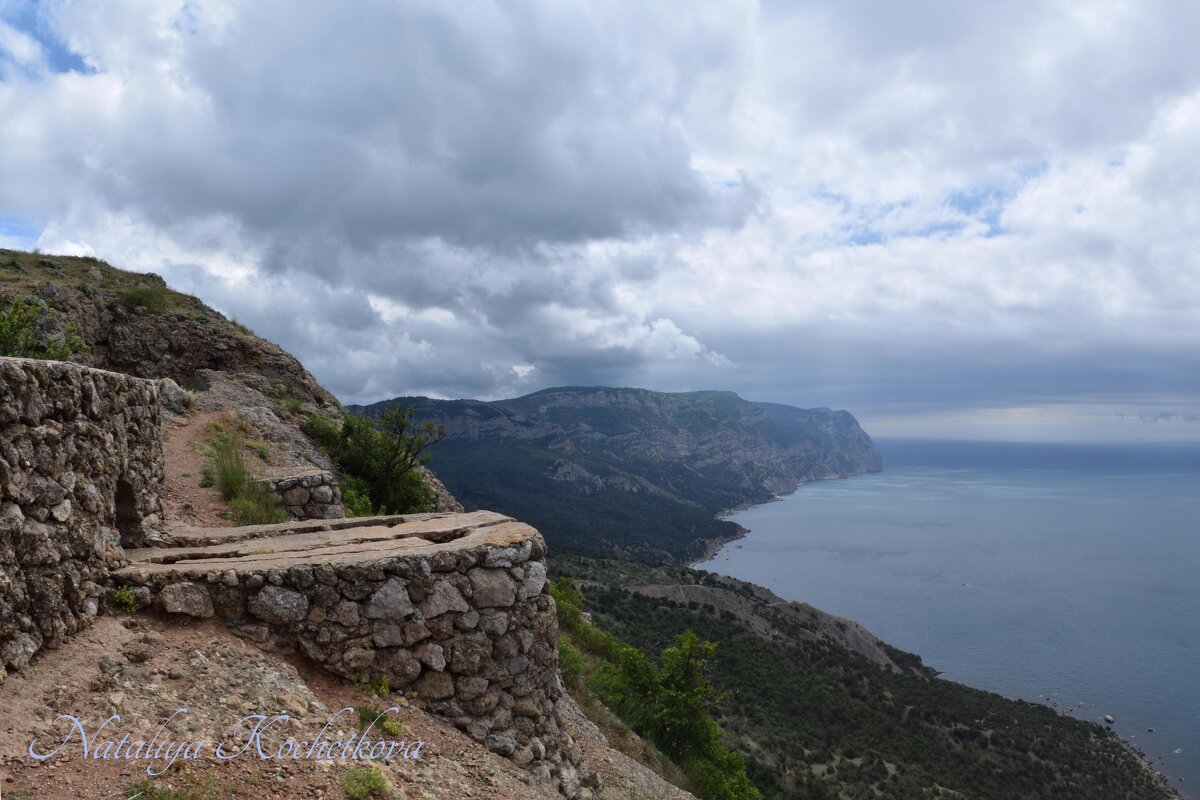 Природа Крыма - Amazing Cosmea