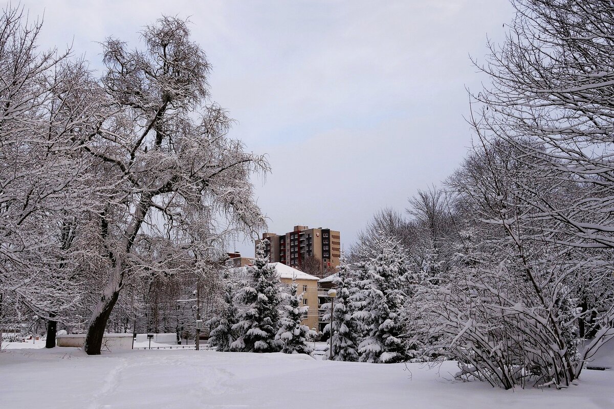 Декабрь Парк Южный, Калининград - Рита Симонова